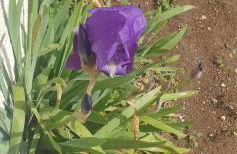 Rifugio al mare - Foto 39