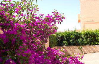 Blu Baita - Foto 134