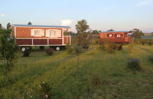 Les Roulottes-Gîtes de la Ferme de l'Autruche Dromoise - Foto 12