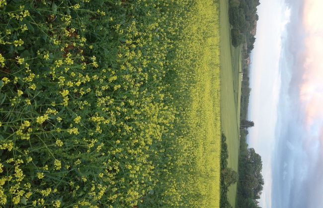 Agriturismo Podere Ficareto - Foto 63