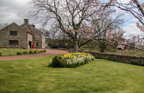 Yellow House - Foto 16