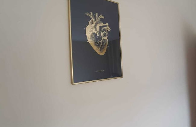 Comfortable Homestay in Stoke - Photo 34