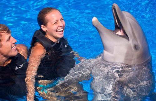 Retreat at Hammock Dunes Beach, Palm Coast - Foto 48