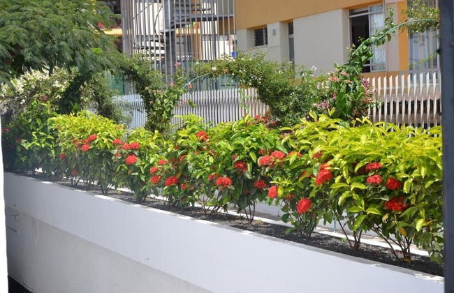 Alsol Las Orquideas - Foto 35