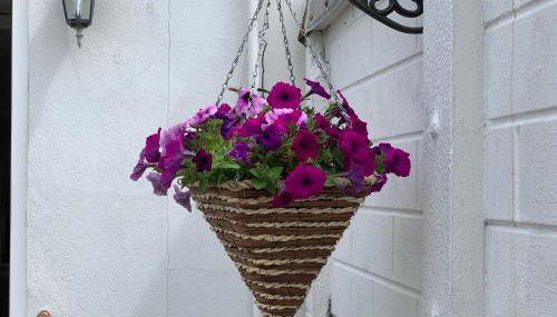 Copthorne - Tintagel - Foto 3