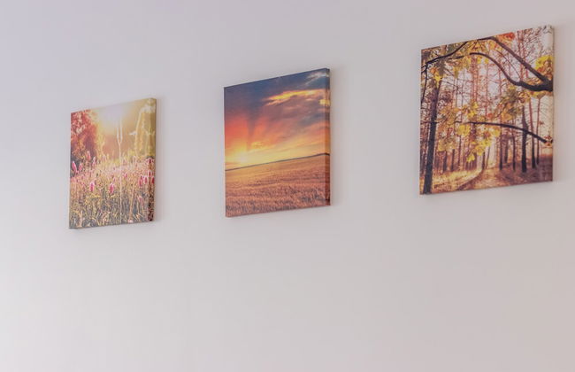 Nicobri Studios - Foto 19