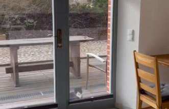 Ferienwohnung 4 - Foto 6