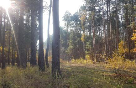 Dom Na Skarpie - Ucieczka Na Wieś - Samodzielne wejście na szyfr, 100m2 - Foto 39