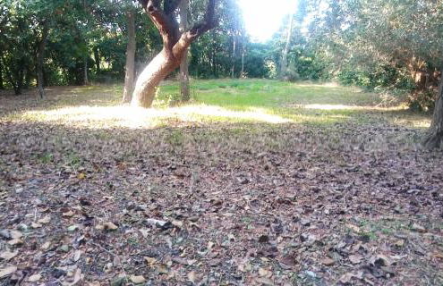 Casolare Toscano - Foto 55