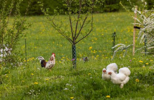 Apart Chalet Unterbrandnerlehen - Foto 47