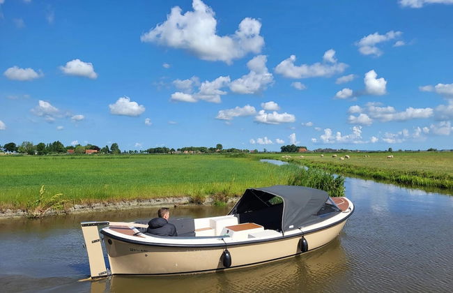 Frisian Country Villa With E-bikes - Foto 20