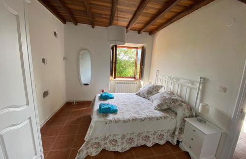 Apartamentos El Campo - Foto 21