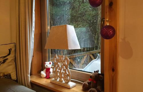 Deluxe Holiday Zdrojowa -Willa typu Alpejskiego w Borach Tucholskich-Całoroczna Balia z jacuzzi-Prywatny las i strumyk -Duża Wiata grillowa - Foto 38