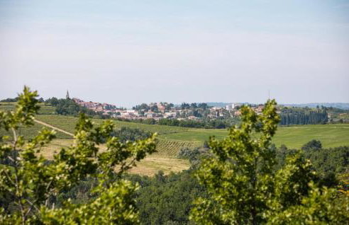 Villa Morgan for 8 people in Central Istria with 45 m2 private pool & pet friendly - Foto 5