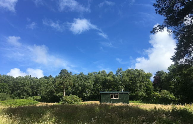 Cosy Woodland off Grid Shepherds Hut - Rowan - Foto 7