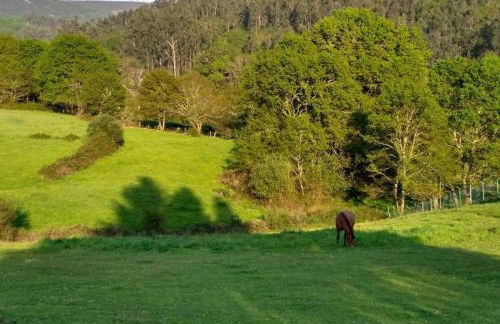 Casa da Labaceira - Foto 43