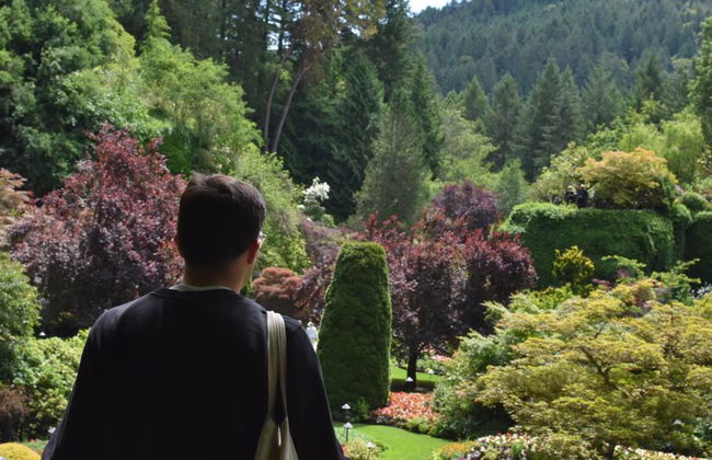 Jardines de Victoria y Butchart - Foto 7