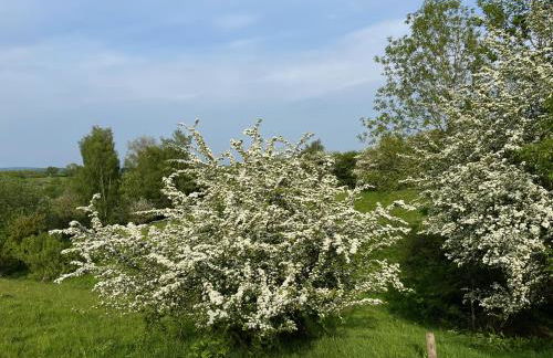 Cosy Stable at Oak Farm - Foto 18