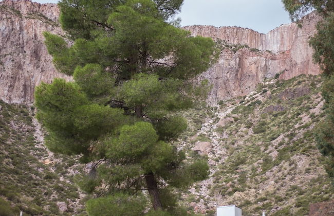 Bosque Divino Cabañas & Suites - Foto 46