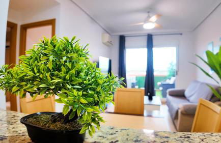 Apartalux Magic Silver - Photo 9