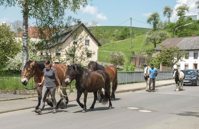 Nengshof - Haus Königskerze - Photo 29