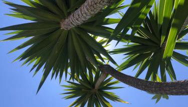 Authentic Andalucia - Photo 3