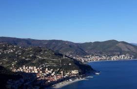 ROSAMIMAMA citra OO9042-LT-0250 - Foto 6