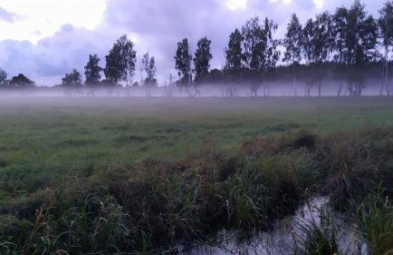 Słowińskie Widoki domki Flora, Fauna, noclegi Smołdziński Las - Foto 55