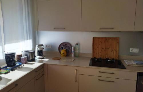 Le Puy de Dôme - Foto 16