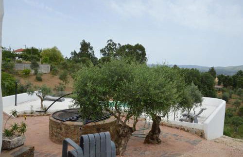 Ouzenda do Zêzere - Foto 9