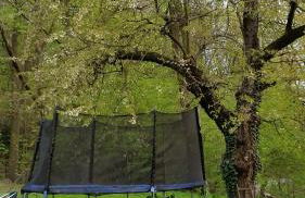 Villa im Park Wachwitzgrund - Große Ferienwohnung in EG der Villa - Foto 30