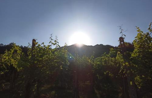 Alloggio La Perla, quiete ed eleganza con vista - Foto 38