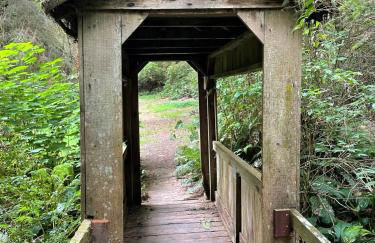 The Tall Trees Cabin - Foto 12