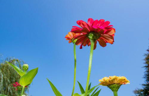 25 Bedrooms - Retreat Center Waterfront Renovated - Foto 54