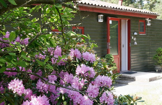 Spacious Holiday Home in Storvorde With Sea Nearby - Photo 42