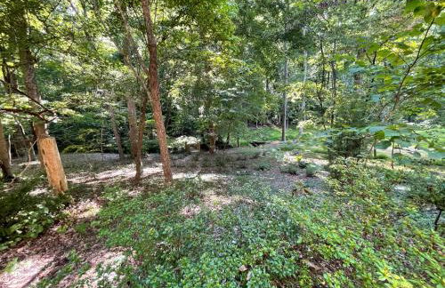 Mary's Place - Studio surrounded by nature but close to High Point - Photo 12