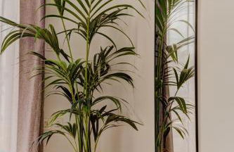 Indigo Seaside Experience - Foto 36