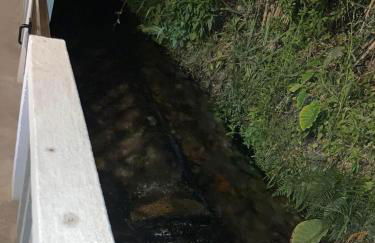 Moinho do Avô - Foto 10