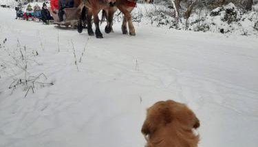 Domowe Zacisze w Nickulinie - Foto 4