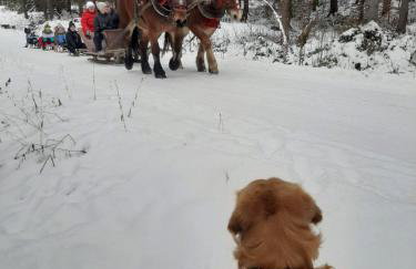 Domowe Zacisze w Nickulinie - Foto 4