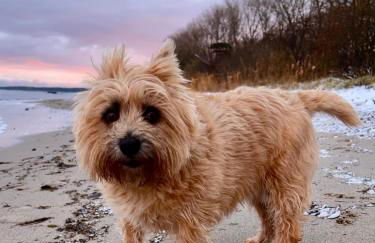 Lobster im Nauticum - Foto 22