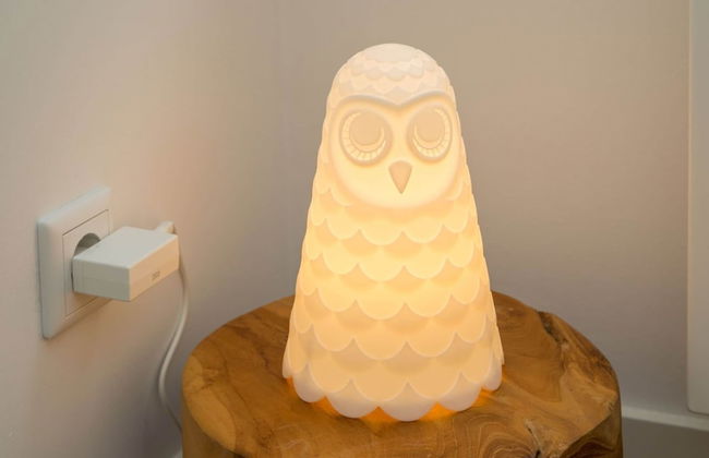 House in Oostkapelle Near Beach & Sauna - Foto 24