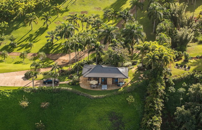 Hale Lani 1 Bedroom Home by RedAwning - Foto 25