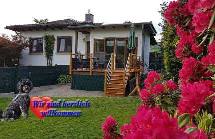 Haus Ceddy Diemelsee - Foto 1