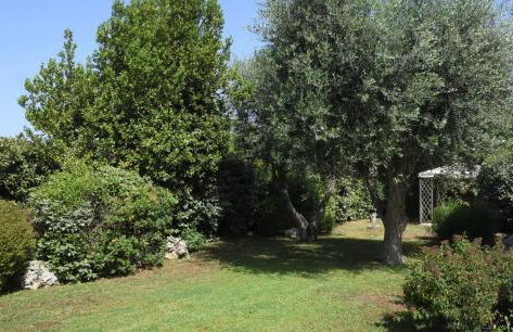 Trullo Leone - Foto 30