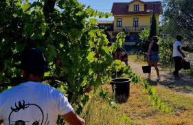 Quinta do Chao D'Ordem - Foto 62