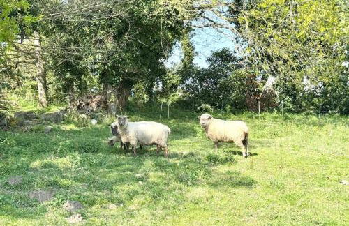 Longère rénovée entre terre et mer 5min des plages - Foto 28