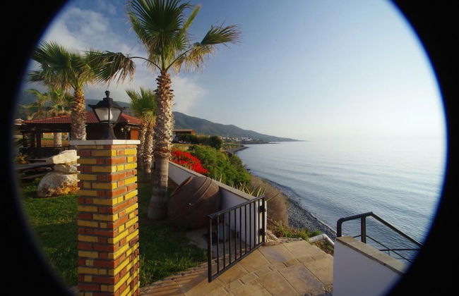 Sun Camero Apartments - Photo 26