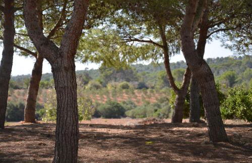 Finca Son Blat - Photo 37