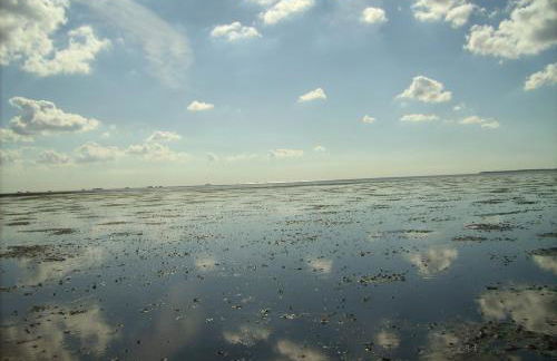 Haus Halligblick - Foto 34